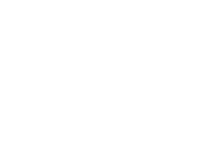 Káli fecske
